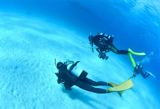 内蒙人是不是都说蒙语？